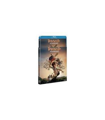 david-bd-br