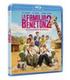 la-familia-beneton-2-bd-br