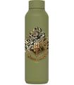 BOT.TERMO INOX GREEN 630ML HP HOGWARTS