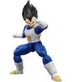 FRS VEGETA NEW SPEC VER