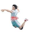 HAIKYU!! IWAIZUMI-(B:HAJIME IWAIZUMI)