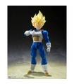 FIGURA DB - SHF - SS VEGETA