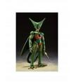 FIGURA DB - SHF - CELL FIRST FROM