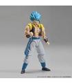 FRS SSGSS GOGETA