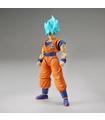 FRS SSGSS SON GOKU PKG RENEWAL