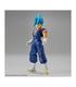 frs-ssgss-vegetto