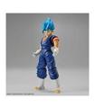 FRS SSGSS VEGETTO