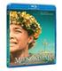 midsommar-bd-br