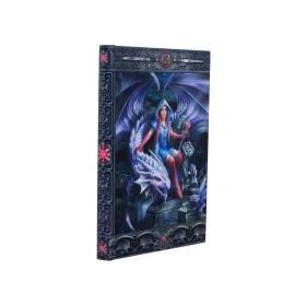 dragon-mage-journal-as-17cm