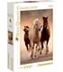 puzzle-carrera-de-caballos-1000-pz