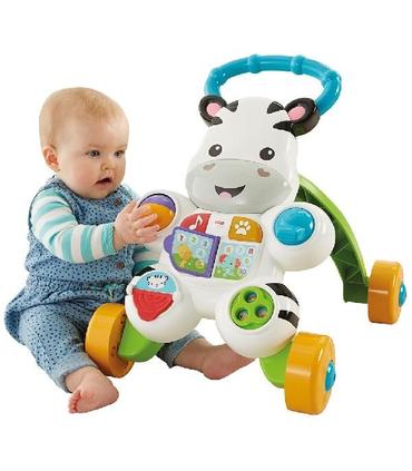 cebra-parlanchina-primeros-pasos