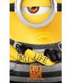 GRU 3 MI VILLANO FAVORITO (DVD)
