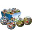 Pelota Paw Patrol