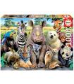 Puzzle 1000 Foto De Clase